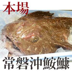 【2026年12月発送】常磐沖のあんこう鍋（3～4人前）とあんこう唐揚げセット〈出荷時期:2026年12月1日出荷開始～2026年12月29日出荷終了〉【 あんこう鍋 茨城県 日立市 】