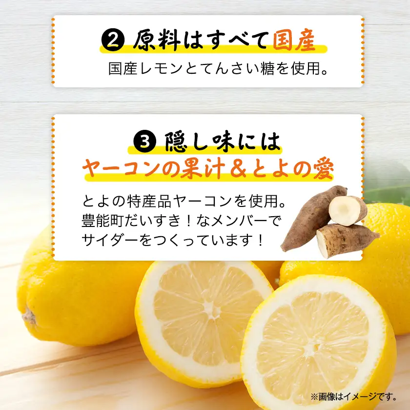 大阪府豊能町ご当地サイダー|とよのサイダー【6本セット】【1703024】