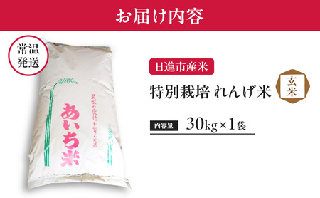 玄米 【玄米】特別栽培れんげ米 日進市産米 30kg×1袋  米 コメ お米 あいちのかおり 特別栽培米 れんげ草 日進市 愛知県