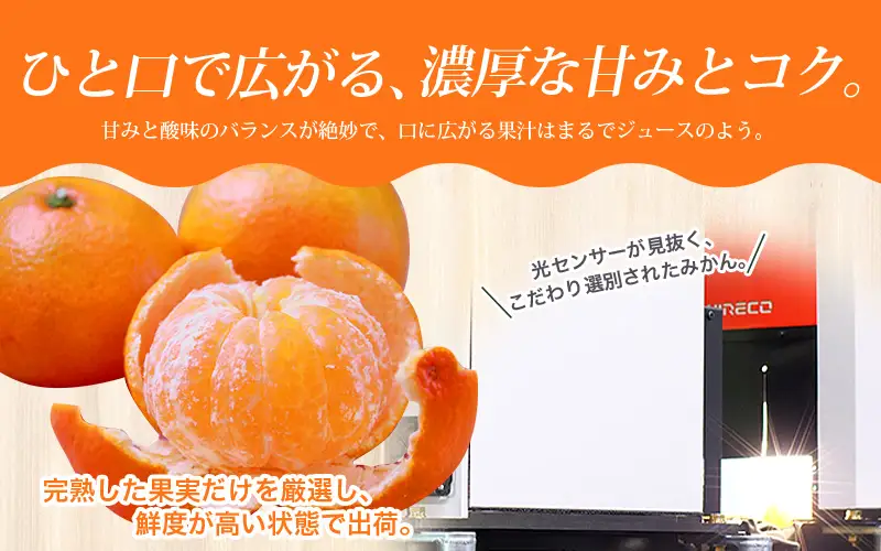 有田みかん 約6kg＋150g(傷み補償分) 【ご家庭用】【10月発送】みかん【nuk102-10】