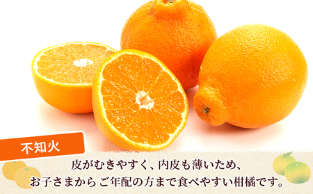 ＜秀品 不知火 (L～2Lサイズ) 約5kg＞愛媛 蜜柑 ミカン みかん 果物 フルーツ 柑橘 国産 秀品 ギフト 贈答用 しらぬひ しらぬい シラヌイ 不知火 愛媛県産 西予市産 西宇和 特産品 丸二青果 愛媛県 西予市【常温】『2026年2月～4月中旬頃までに順次出荷予定』 MMY0016