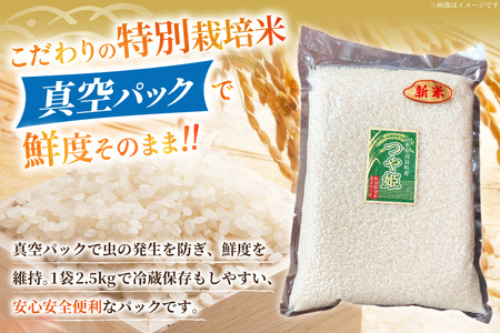 米 令和7年産 特別栽培米 つや姫 10kg (2.5kg×4袋)