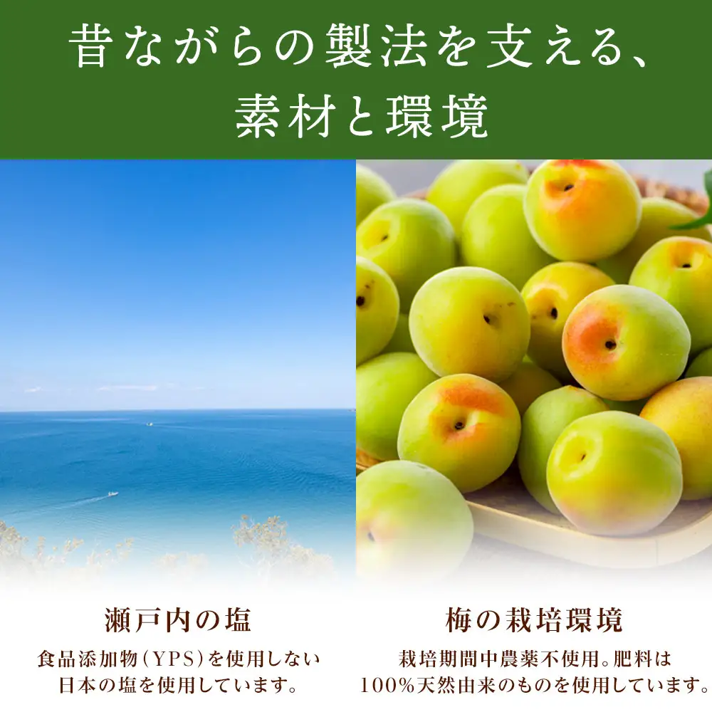 規格外品 無添加 栽培期間中農薬不使用 昔ながらの梅干し 紀州南高梅 塩のみで漬けたすっぱい梅干し 800g（400gパック×2個）塩分約23% 3年熟成品 N20-K ［KU8］