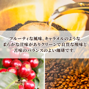 自家焙煎珈琲 シングルオリジン グァテマラ フロレンシア農園 200g コーヒー豆 コーヒー粉 コーヒー 豆 粉 珈琲 焙煎コーヒー豆 焙煎 レギュラーコーヒー グアテマラ おいしい 淡路島 洲本市 粉
