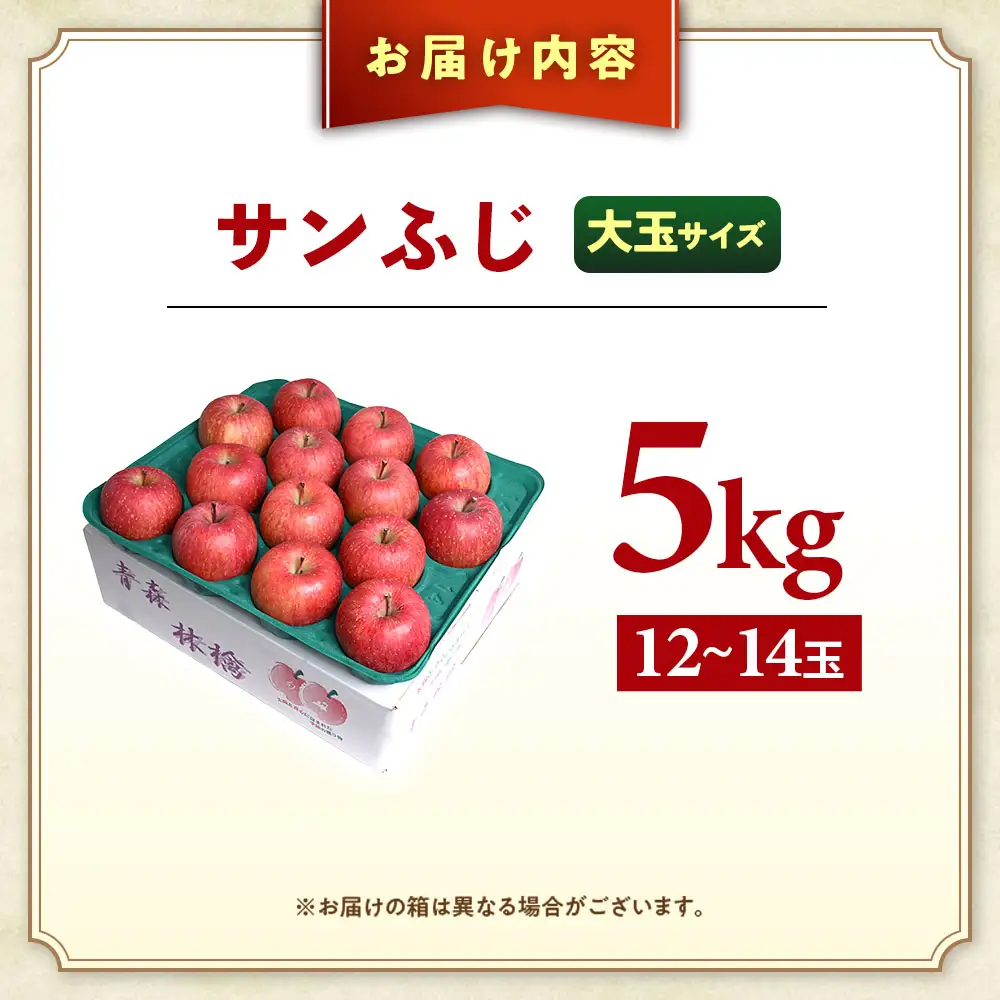 青森県産りんご 大玉 サンふじ 約5kg 12月下旬～ りんご