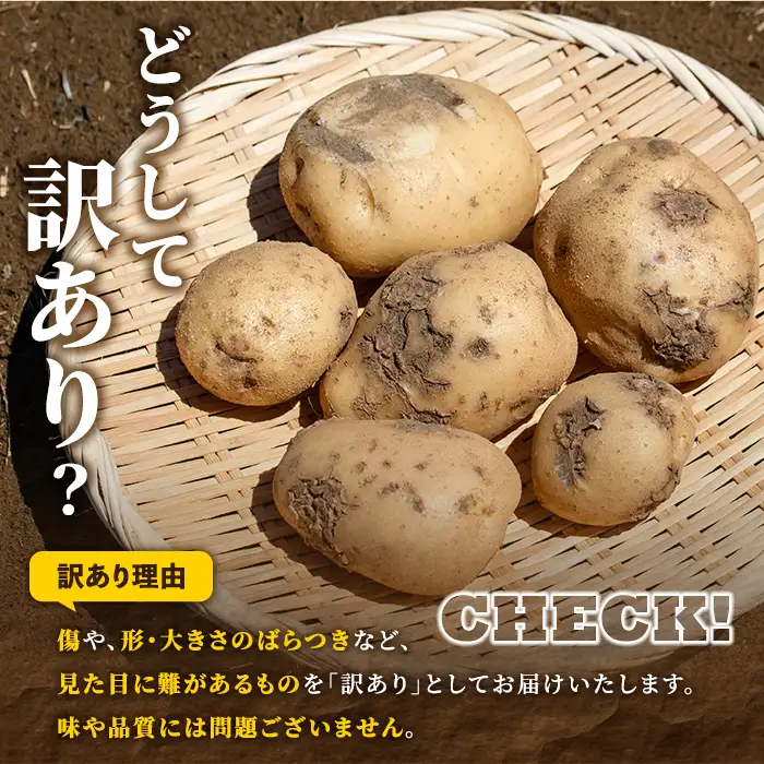 ＜先行予約受付中！2026年12月以降順次発送予定＞訳あり！じゃがいも ニシユタカ(20kg) 国産 鹿児島県産 阿久根市産 じゃがいも ジャガイモ 芋 ポテト にしゆたか 訳アリ 野菜 ポテトサラダ コロッケ 常温 常温配送 【慶越農園】akn107-08