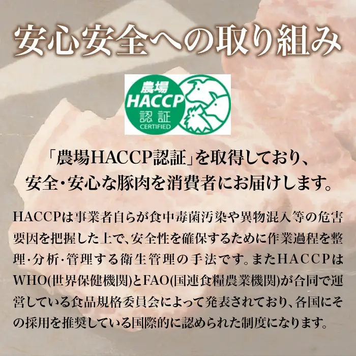 745 豚肉 1㎏ 国産 ブランド豚 梅里豚 ひき肉 500g×2パック
