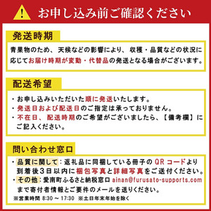 ラブリーさくら 約1.6kg 大瀧農園 トマト 完熟トマト 野菜 産地 直送 人気 国産 愛媛県 愛南町 発送期間：2026年3月1日～7月頃まで（※なくなり次第終了）
