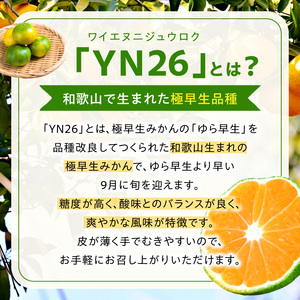 【2026年先行受付】家庭用 YN26 ゆら早生 有田みかん 和歌山 訳あり わけあり 小玉(3Sサイズ) 約2kg_DZ6240