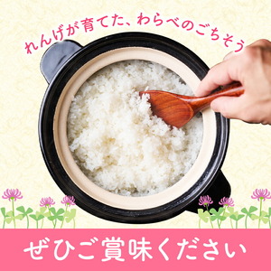 熊本県菊池市産のれんげ米 5kg 《30日以内に出荷予定(土日祝除く)》  精米方法 玄米 お米 レンゲ米 熊本県産 九州産 送料無料