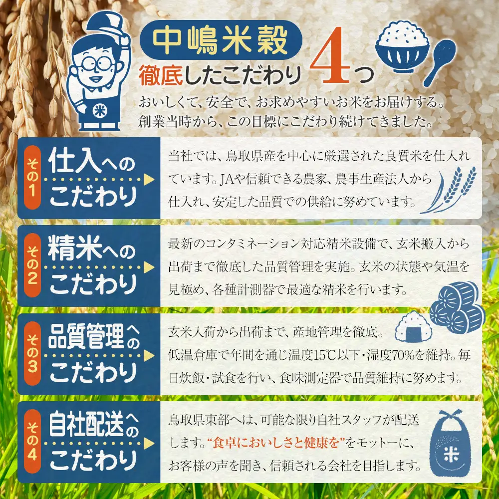 もっちりご飯星空舞(パックご飯) 3食×12袋 パックご飯