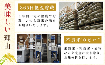定期便 お米 特A 湧水米コシヒカリ【 10kg 6回 】定期便
