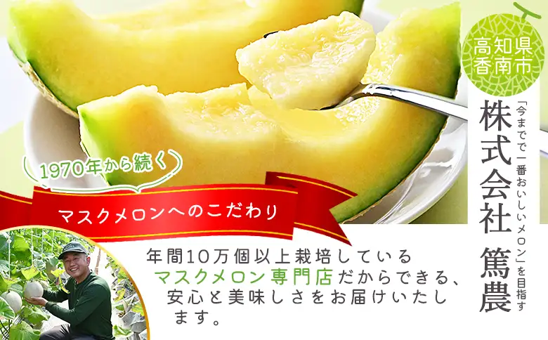 【2ヶ月定期便】【訳あり品】マスクメロン1玉 青肉 赤肉 交互にお届け メロン 夜須町産 Wtn-0047