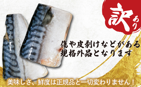 訳あり 厚切 塩さば 切り身 約 3.5kg
