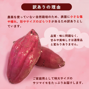 【訳あり】 【2027年1月発送】 舞鶴産 熟成さつまいも 8kg （紅はるか） 特大 紅はるか