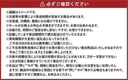 あたご梨 3～6玉 約4kg 【2026年11月下旬～12月下旬迄順次発送予定】 梨 なし ナシ 果物 フルーツ 岡山県 倉敷市