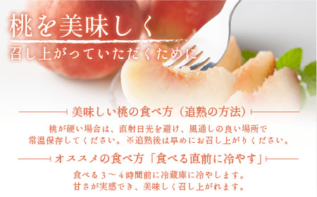ワッサー 秀品 約 2kg 増田ファーム 配送先は本州限定 2026年8月上旬頃から2026年9月下旬頃まで順次発送予定 令和8年度収穫分 信州 果物 フルーツ ワッサー 桃 長野 予約 農家直送 長野県 飯綱町 [1820]