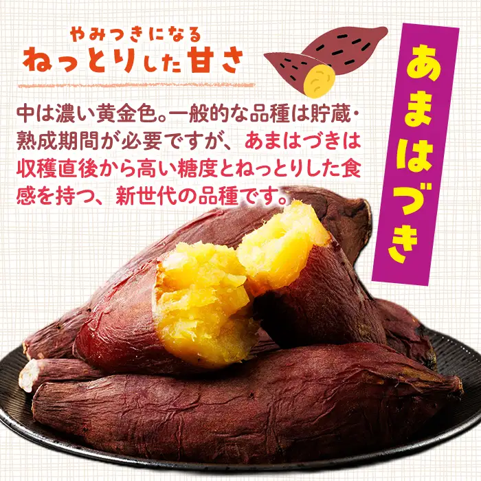＜先行予約受付中！2026年10月から順次発送予定＞おやつ芋 あまはづき 冷凍 焼き芋(計12個・3個入り×4袋) 焼芋 やきいも さつまいも さつま芋 レンジ あまはづき 小分け おやつ 【YO-25】【株式会社陽】