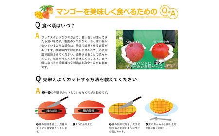 訳ありマンゴー２kg【熱帯資源植物研究所】