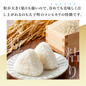 【銀賞受賞】大子産米 コシヒカリ 3kg｜茨城県 大子町 白米 希少品種 令和7年産 コンテスト 銀賞 受賞米 数量限定（AV064）