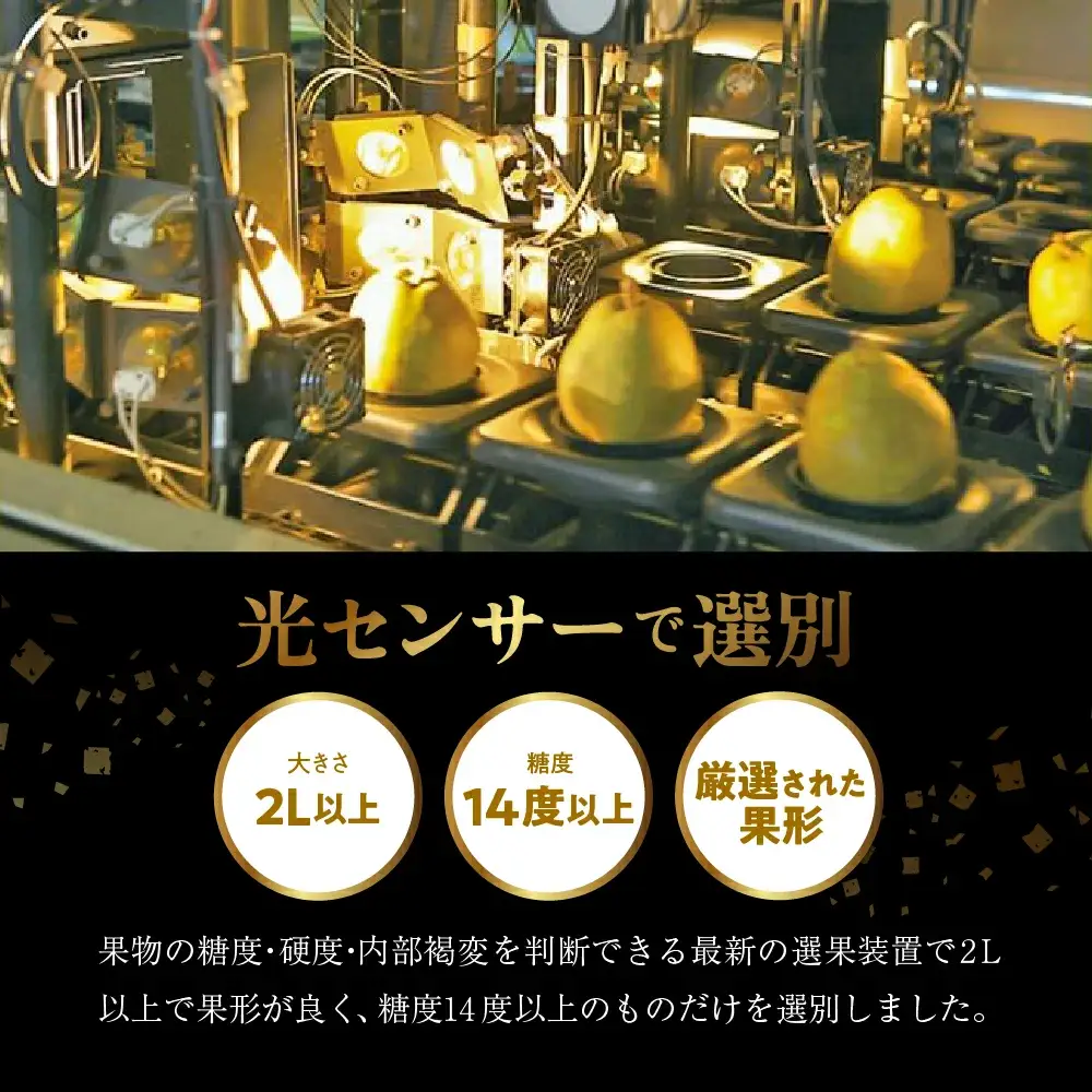 スーパー ラ・フランス 1.5kg 洋梨 フルーツ 山形 ラフランス