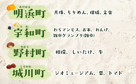 ＜西予市シーグラスアート＞ ミニ色紙サイズ シーグラス インテリア オリジナル 手作り アート 三瓶 明浜 宇和 野村 城川 特産文化 周木ビリ島むらおこし会 愛媛県 西予市 【常温】『1か月以内に順次発送』MHM0002