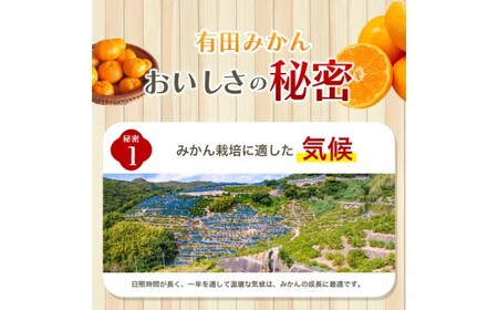【2026年10月発送予約】＼光センサー選別／農家直送 こだわりの有田みかん 約6kg＋150g(傷み補償分) 【ご家庭用】みかん ミカン 有田みかん 温州みかん 柑橘 有田 和歌山 ※北海道・沖縄・離島配送不可/産地直送【nuk102-10】