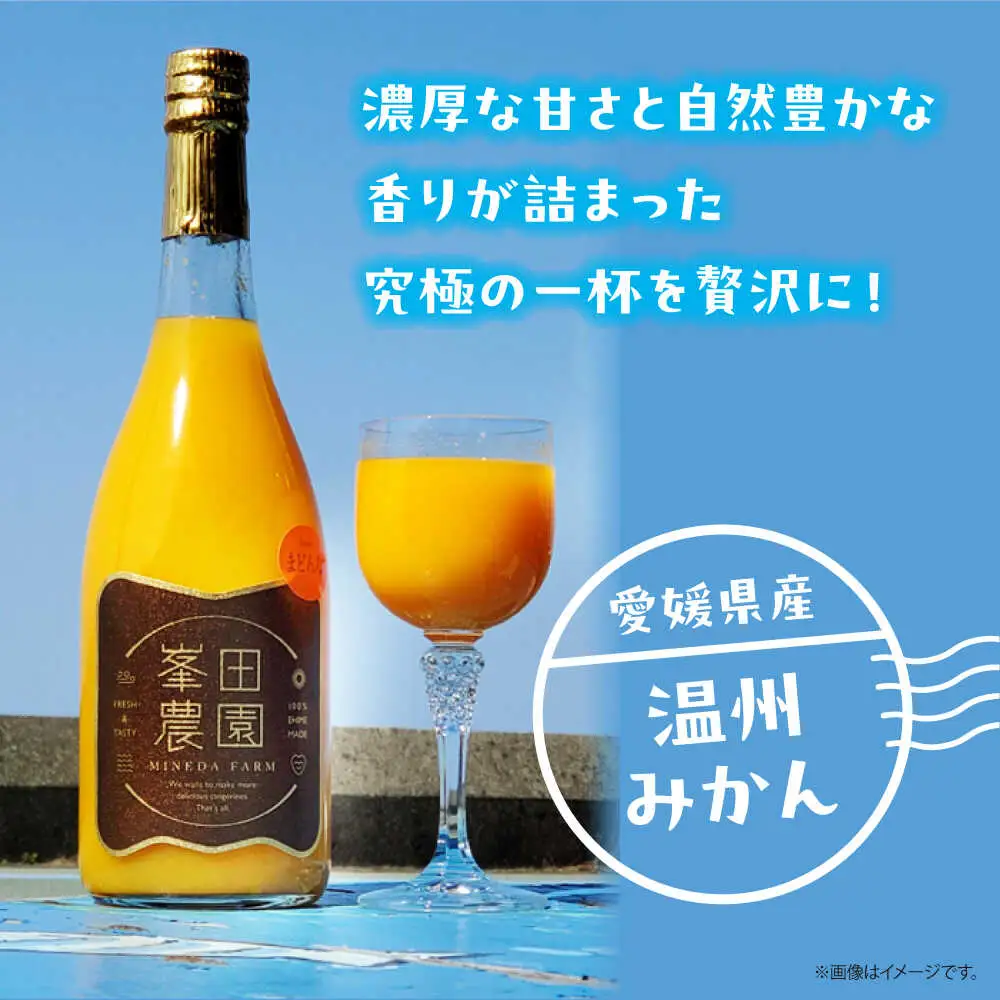 温州みかんジュース（720ml×12本）みかんジュース[AGBT024]