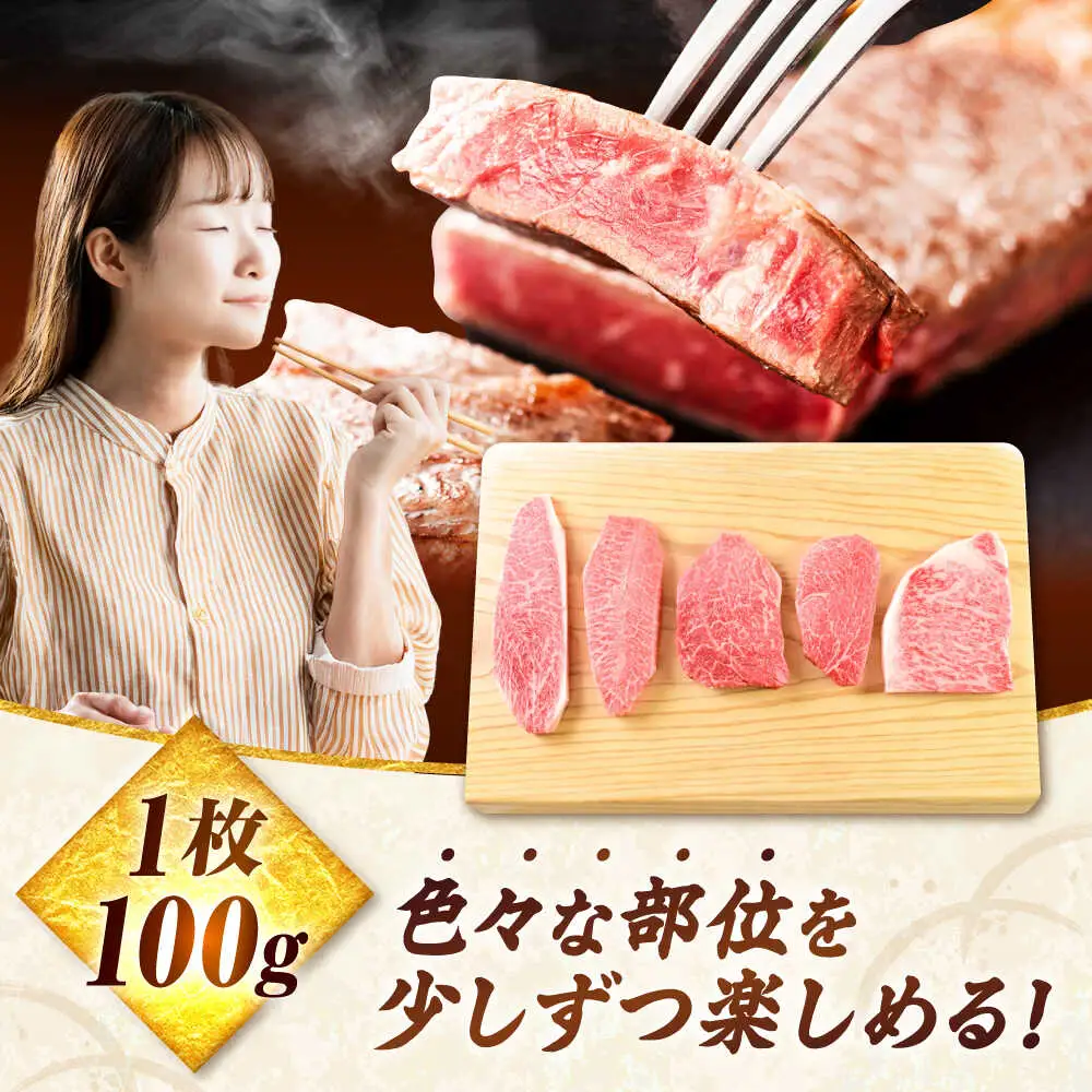 佐賀牛 ステーキ 5種 計500g 食べ比べ セット　吉野ヶ里町/ミートフーズ華松[FAY120]
