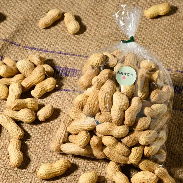 殻付き生落花生 おおまさり 約700g | らっかせい ピーナッツ おつまみ 鹿沼市 農家直送 ※2026年11月～発送