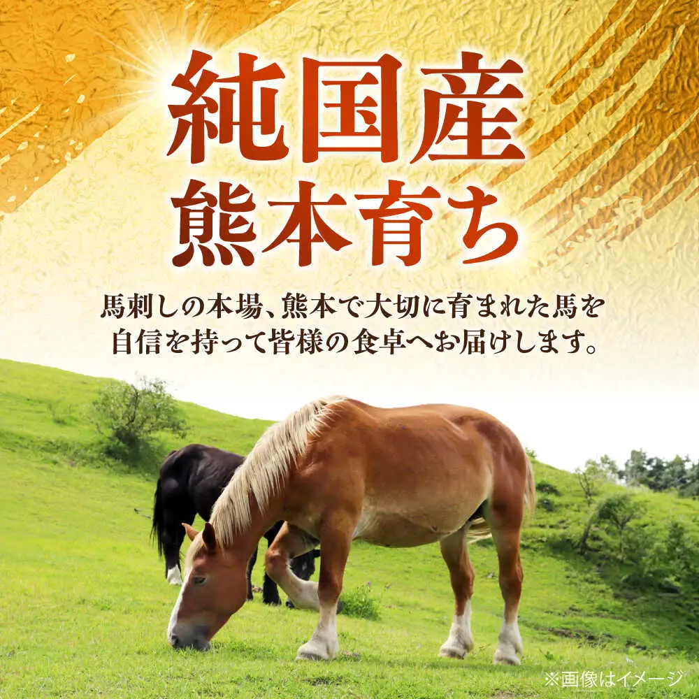 純国産馬 馬ホルモン煮込み 約500g 馬ホルモン[AYDK015]