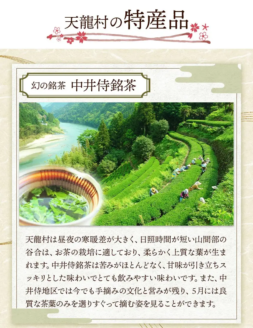 【先行予約】2026年6月頃より順次発送 長野県天龍村・中井侍地区のお茶11袋