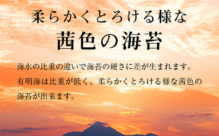 訳あり 有明海産 焼き海苔 2切10枚×10袋（100枚分）福岡有明のり 海苔 のり 有明海苔 有明 福岡県 福岡 九州 グルメ お取り寄せ