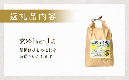 【令和8年産米先行受付】原さんちのお米 玄米 ４kg ひとめぼれ 米 お米 こめ コメ  ご飯 ヒトメボレ 常温 大分県 大分 玖珠町 玖珠