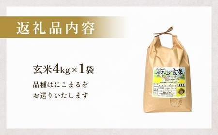 【令和8年産米先行受付】原さんちのお米 玄米 ４kg にこまる 米 お米 こめ コメ ご飯  ニコマル 常温 大分県 大分 玖珠町 玖珠