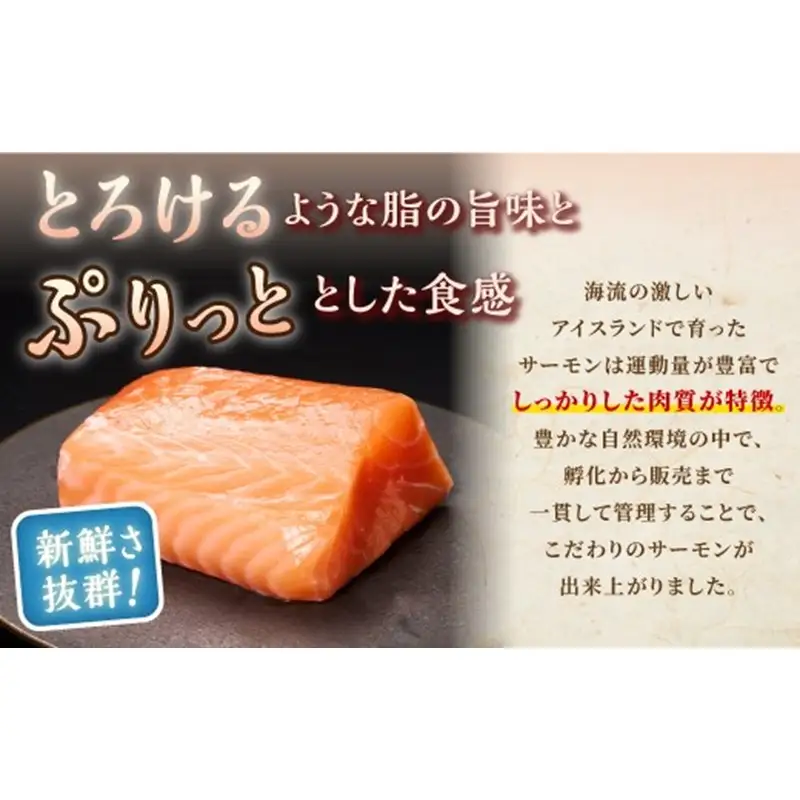 高評価★4.76【総合1位獲得の選べる サーモン 定期便 年2回お届け】 アトランティックサーモン 800g_T024-1213