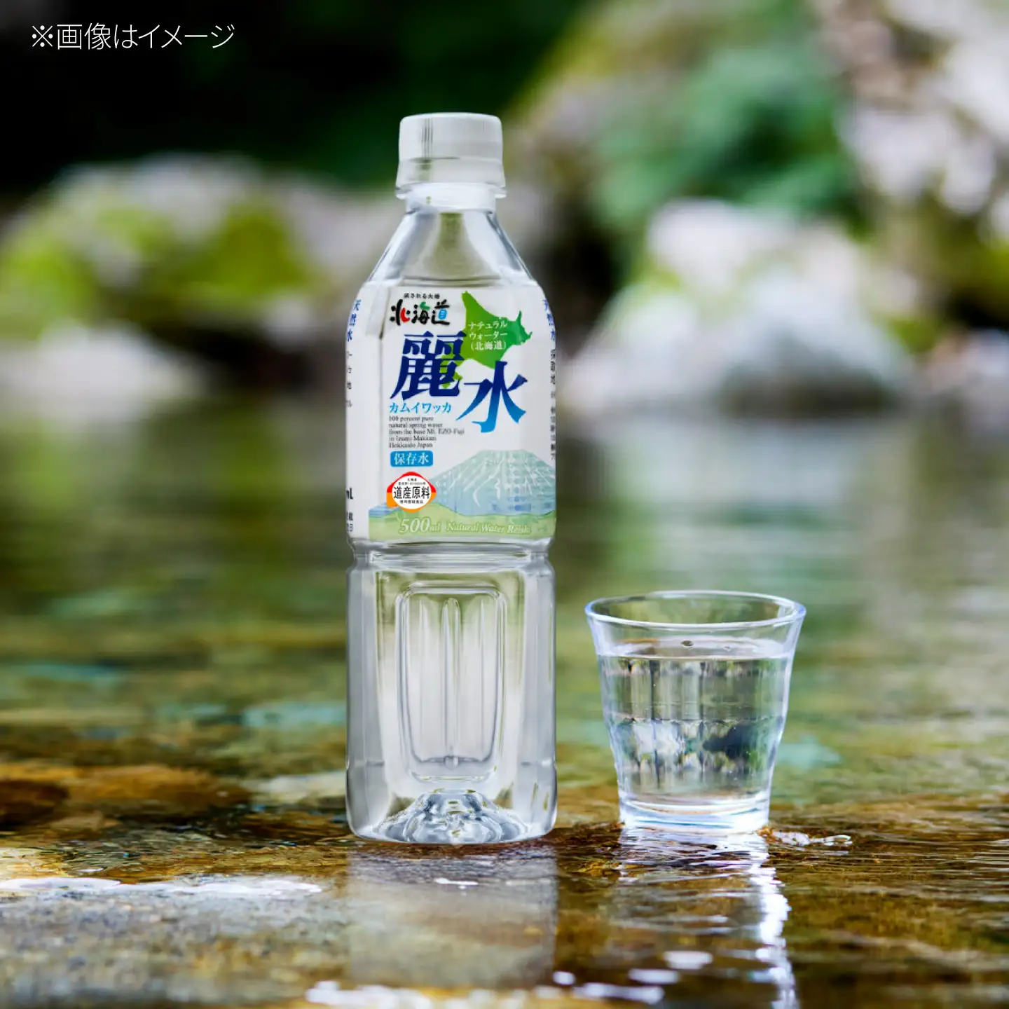 【全6回定期便】≪5年≫ 保存水 500ml×24本 [BPAI009] 保存水