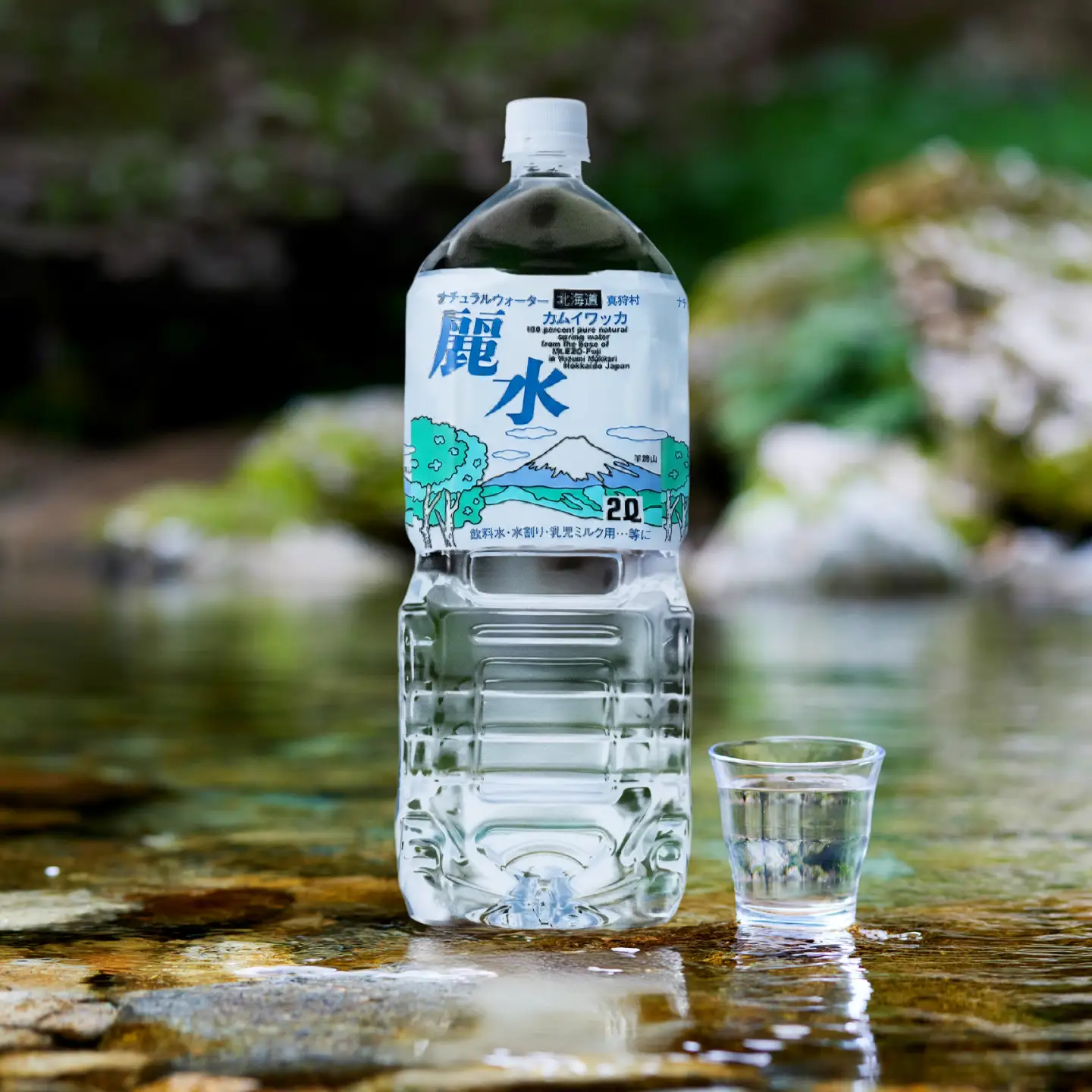【全4回定期便】≪5年≫ 保存水 2L×6本 [BPAI012] 保存水
