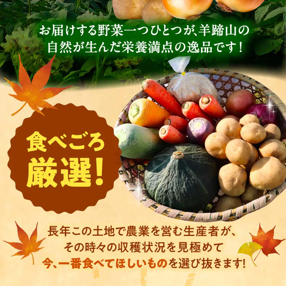 【先行予約】 秋の味覚セット（大）[BPAM004] 野菜セット 北海道