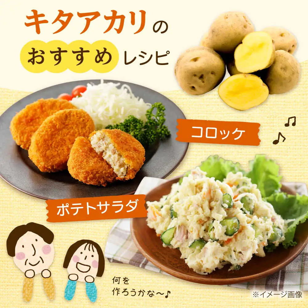【先行予約】 じゃがいも キタアカリ 5kg [BPAM015] じゃがいも