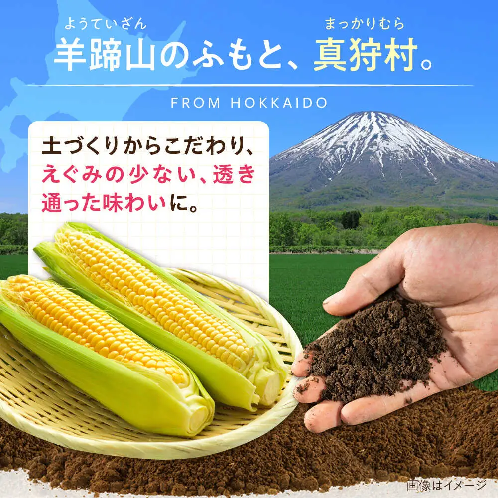 【先行予約】とうもろこし（白・黄） 各5kg [BPAM019] とうもろこし