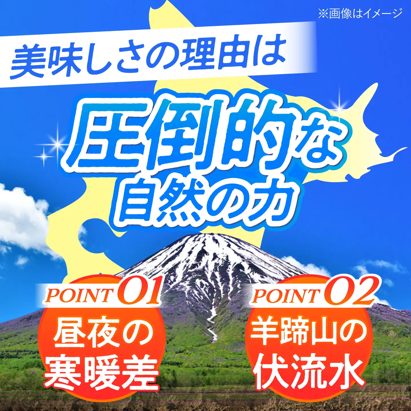 【先行予約】とうもろこし 白 5kg [BPAM021] とうもろこし