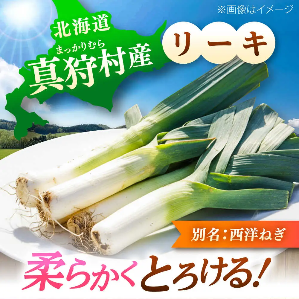 【2026年11月上旬以降順次発送】 ゆり根とリーキ  計3kg  |  ゆり根 リーキ 野菜 やさい 北海道 産地直送 |  道の駅 真狩フラワーセンター[BPAM022]