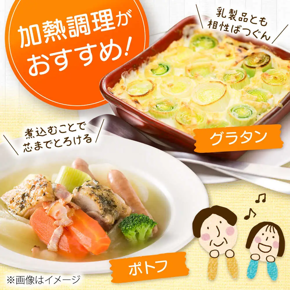 【2026年10月中旬以降順次発送】 リーキ 3kg | 野菜 ネギ ねぎ ポロネギ 西洋ねぎ リーキ | 道の駅 真狩フラワーセンター[BPAM045]
