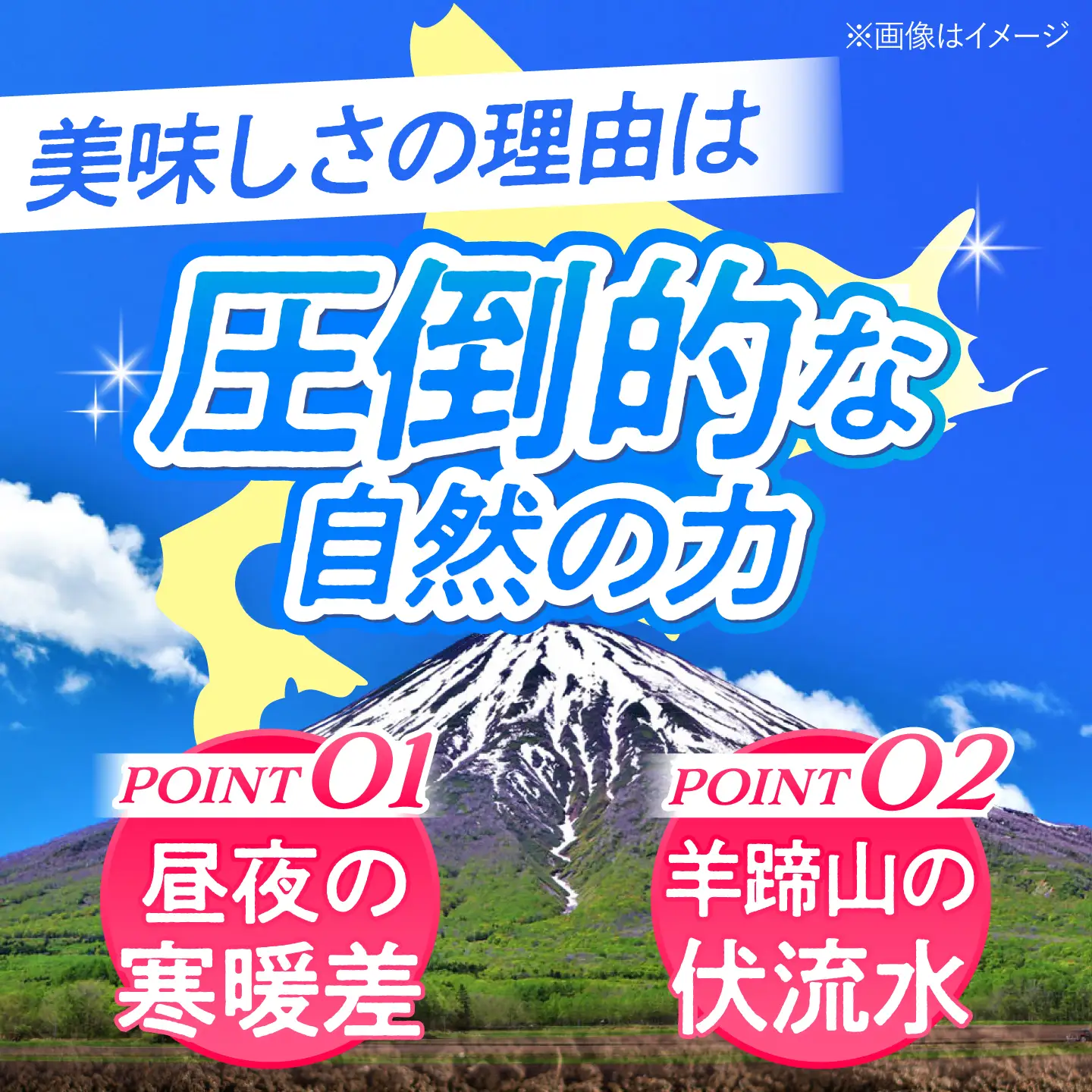 【2027年先行予約】グリーンアスパラガス 1kg [BPAM049] アスパラ