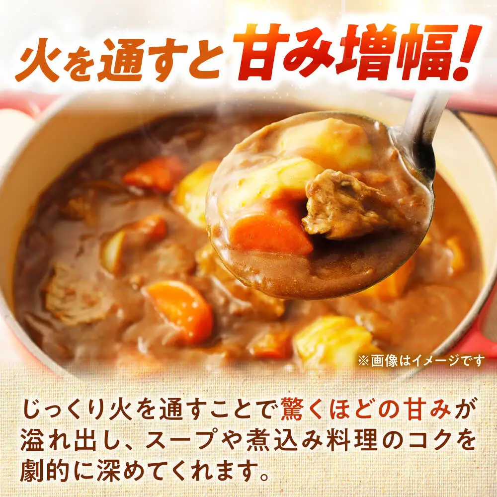 【先行予約】 玉ねぎ 5kg [BPAM079] 玉ねぎ 北海道