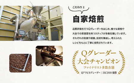 コーヒー 自家焙煎 ドリップバッグコーヒー 豆 500g×4袋