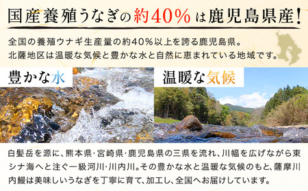 鰻 うなぎ 蒲焼き 4尾 (1尾約140g) タレ 山椒 付き 株式会社薩摩川内鰻《30日以内に出荷予定(土日祝除く)》鹿児島県 さつま町 送料無料 ウナギ 蒲焼 かば焼き 丑の日 うなぎ お取り寄せ グルメ