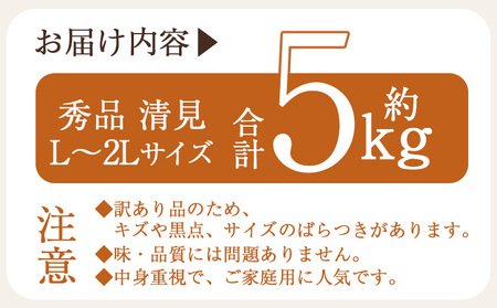 ＜秀品 清見 (L～2Lサイズ) 約5kg＞愛媛 蜜柑 ミカン みかん 果物 フルーツ 柑橘 国産 秀品 ギフト 贈答用 きよみ 贈り物 贈物 プレゼント 愛媛県産 西予市産 西宇和 特産品 丸二青果 愛媛県 西予市【常温】『2026年3月中旬から順次出荷予定』MMY0021