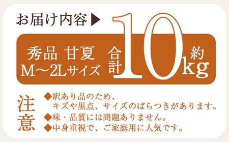 ＜秀品 甘夏 (M～2Lサイズ) 約10kg＞ あまなつ 愛媛 蜜柑 ミカン みかん 果物 フルーツ 柑橘 国産 秀品 ギフト 贈答用 贈り物 贈物 プレゼント 愛媛県産 西予市産 西宇和 特産品 丸二青果 愛媛県 西予市【常温】『2026年3月上旬から順次出荷予定』MMY0023